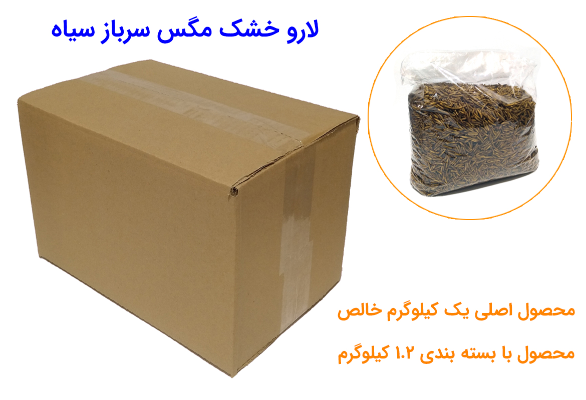 لارو خشک مگس سرباز سیاه / BSFL - وزن ۱ کیلو گرم بسته بندی شده